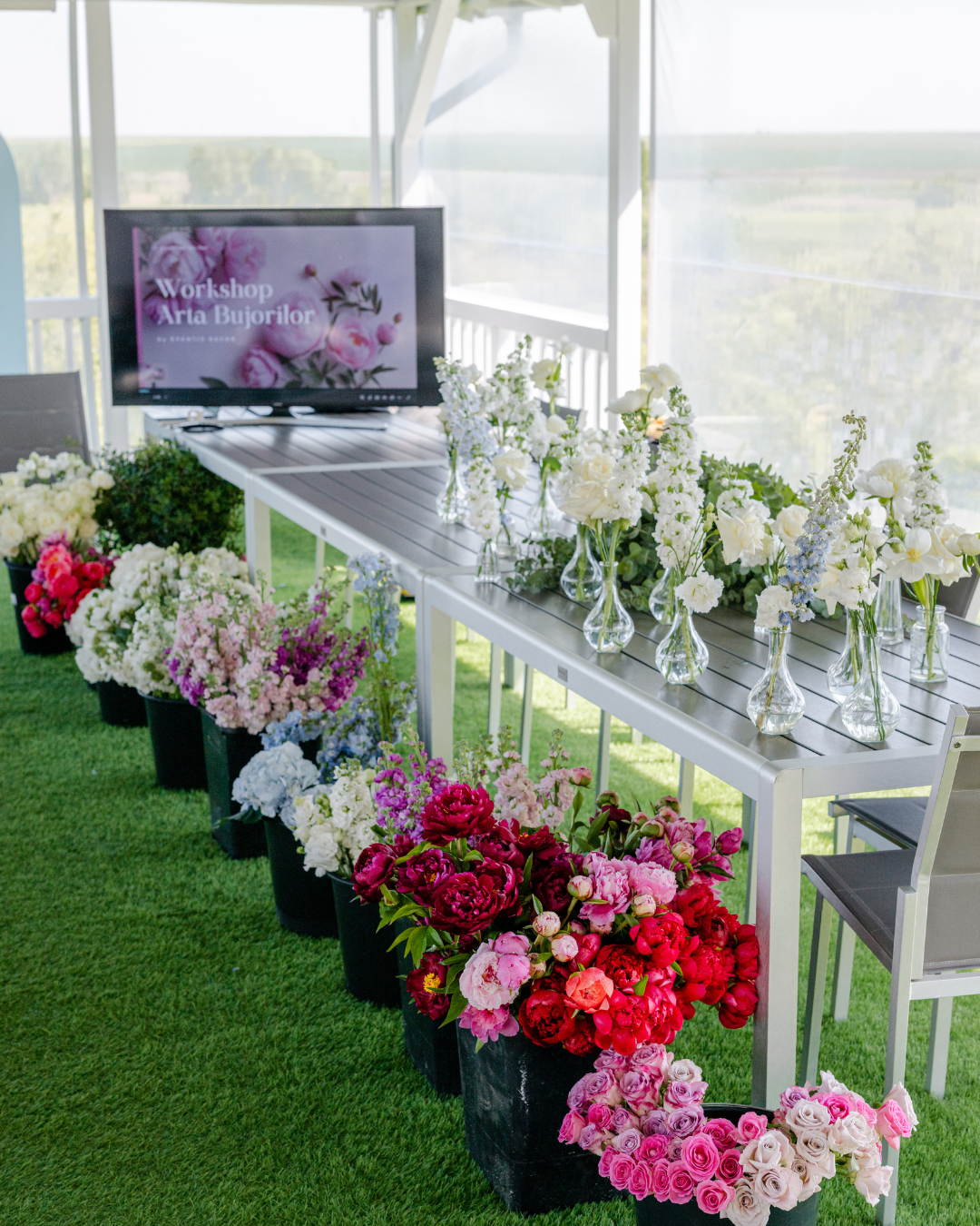 workshop poza principala